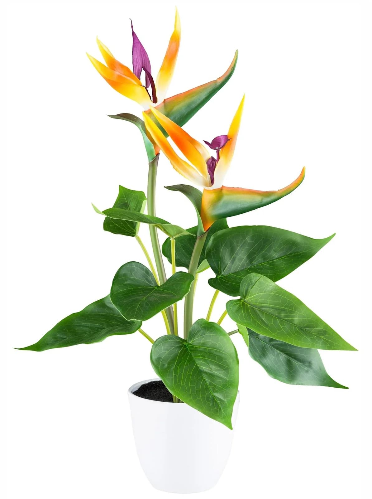 Kunstpflanze Strelitzia bunt Kunststoff Gasper
