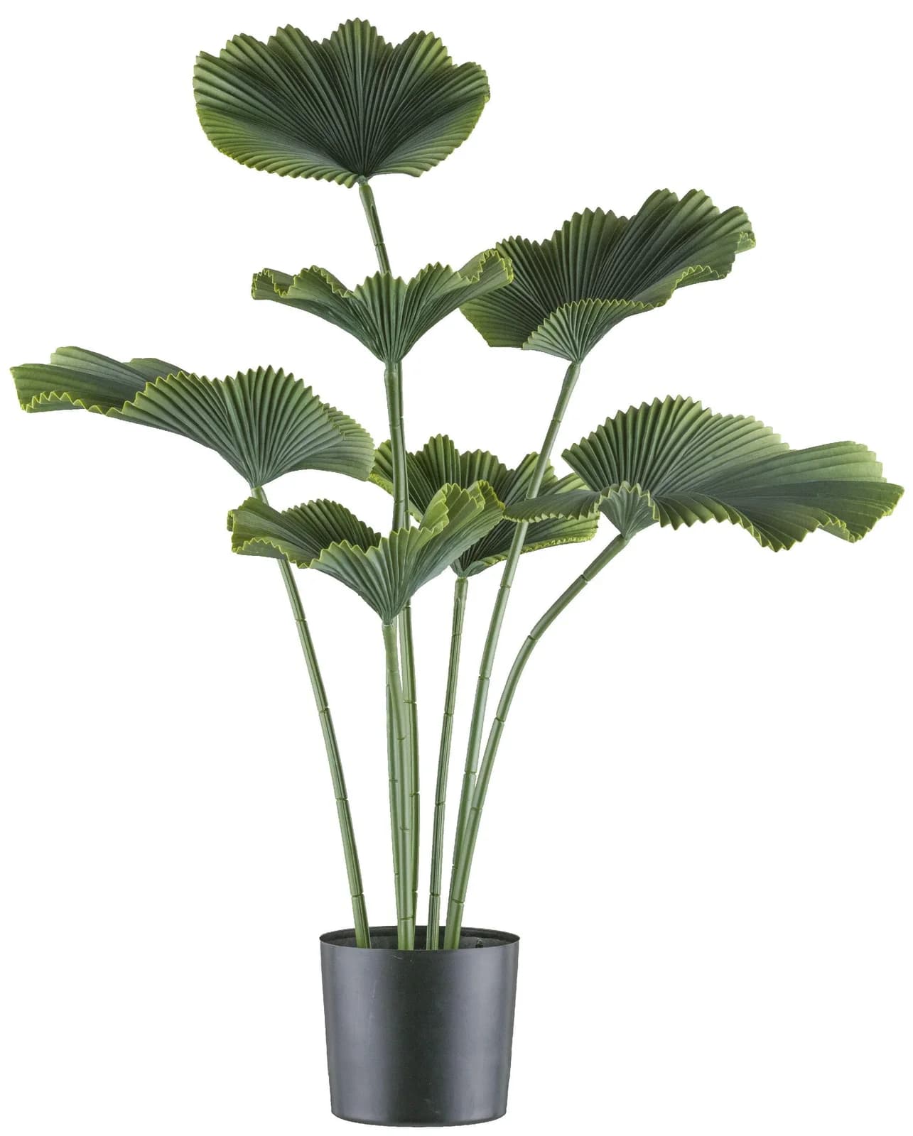 Gasper Kunstpflanze Strahlenpalme Grün