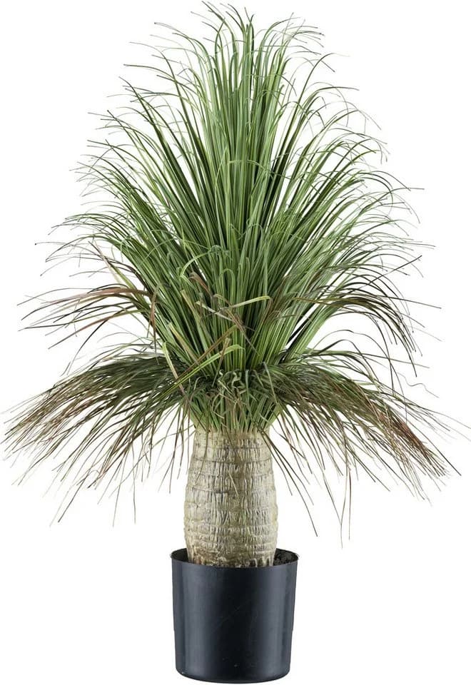 Creativ green Kunstpflanze Elefantenfuß Beaucarnea Grün