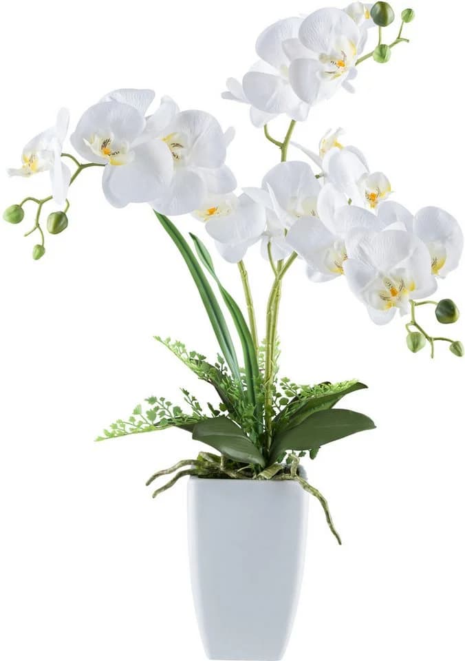 Kunstorchidee CREATIV GREEN Orchidee Phalaenopsis Weiß