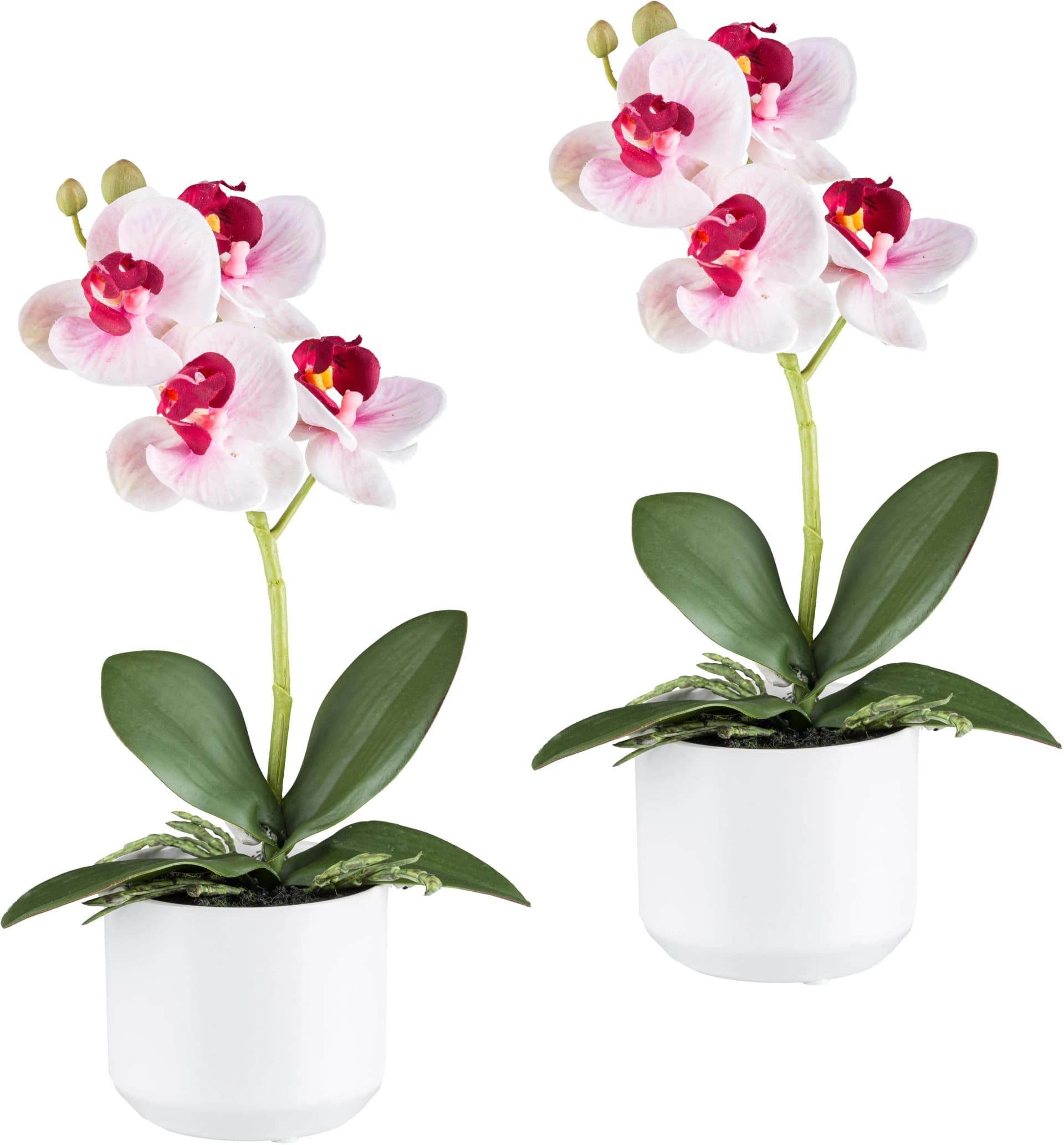 Creativ Green Kunstorchidee Phalaenopsis 2er Set Rosa Weiß