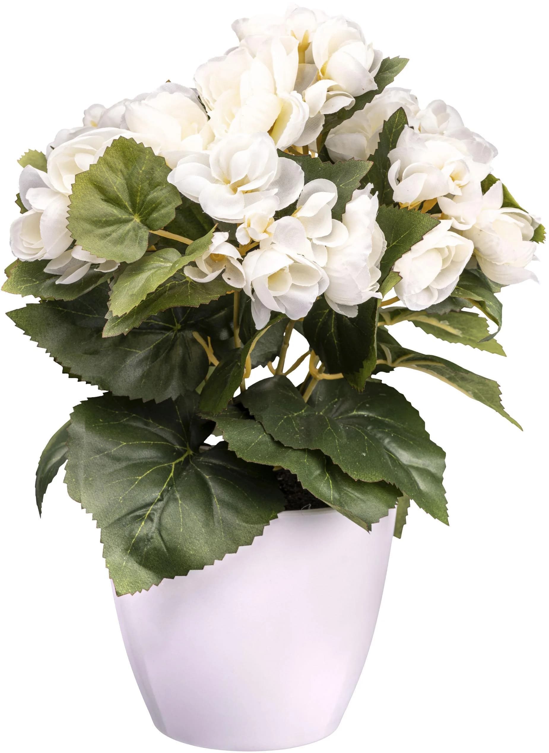 Creativ green Kunstblume Begonie Creme mit weißem Topf