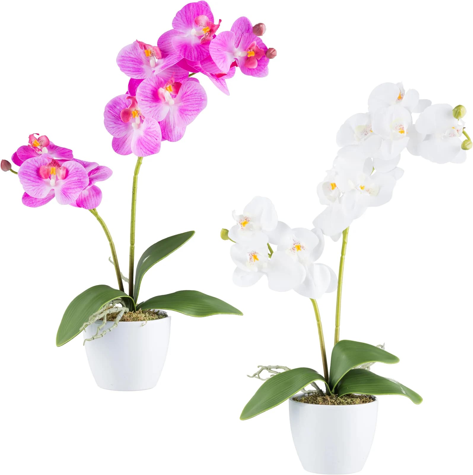 Creativ green Kunstorchidee Phalaenopsis 2er Set Real Touch Keramiktopf