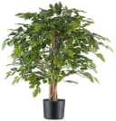 Creativ green Kunstpflanze Ficus benjamina Grün mit Naturstamm Bild 2