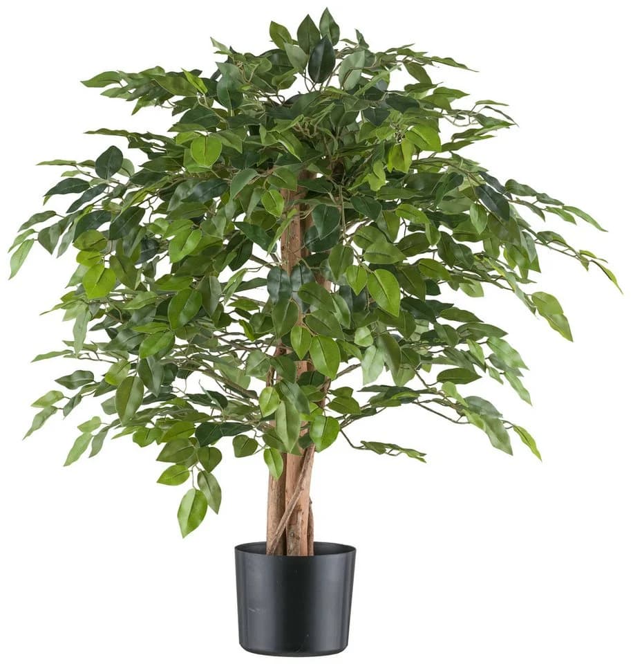 Creativ green Kunstpflanze Ficus benjamina Grün mit Naturstamm - Bild 2