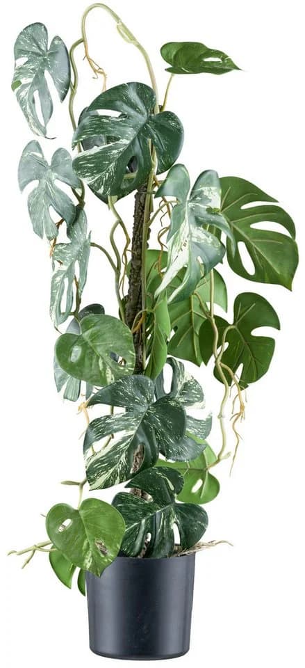 Kunstpflanze Philodendron varigata Creativ green