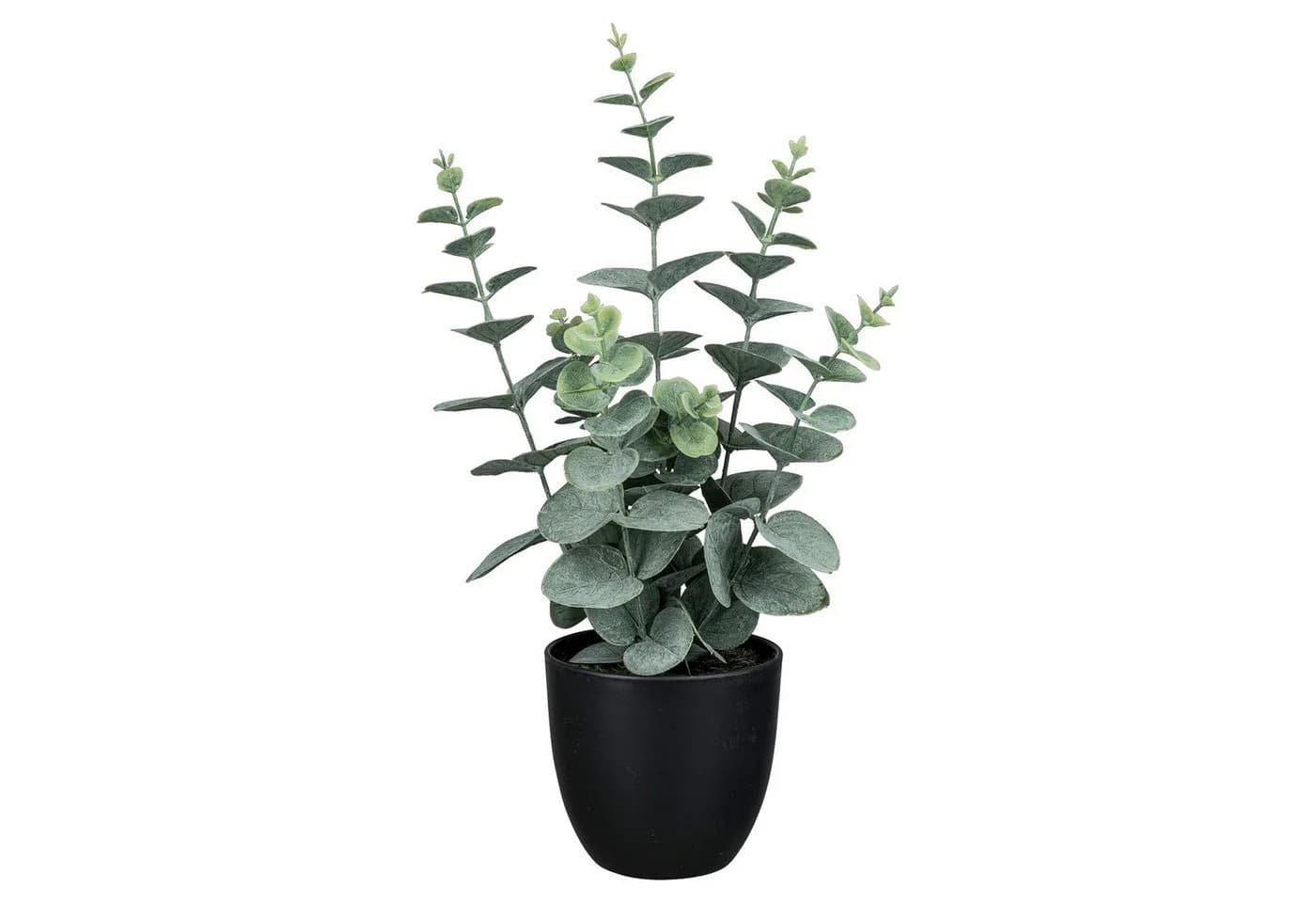 Kunstpflanze Eukalyptus NELE Grau/Grün Kunststoff Gasper