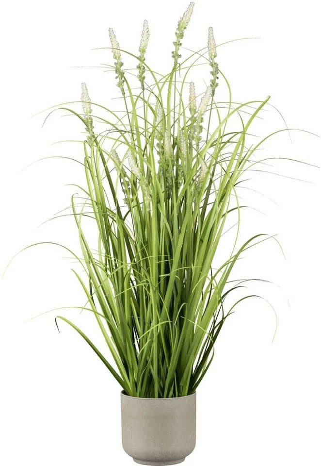 Creativ Green Grasbusch mit Salvienblüten Grün 75cm Melaminetopf