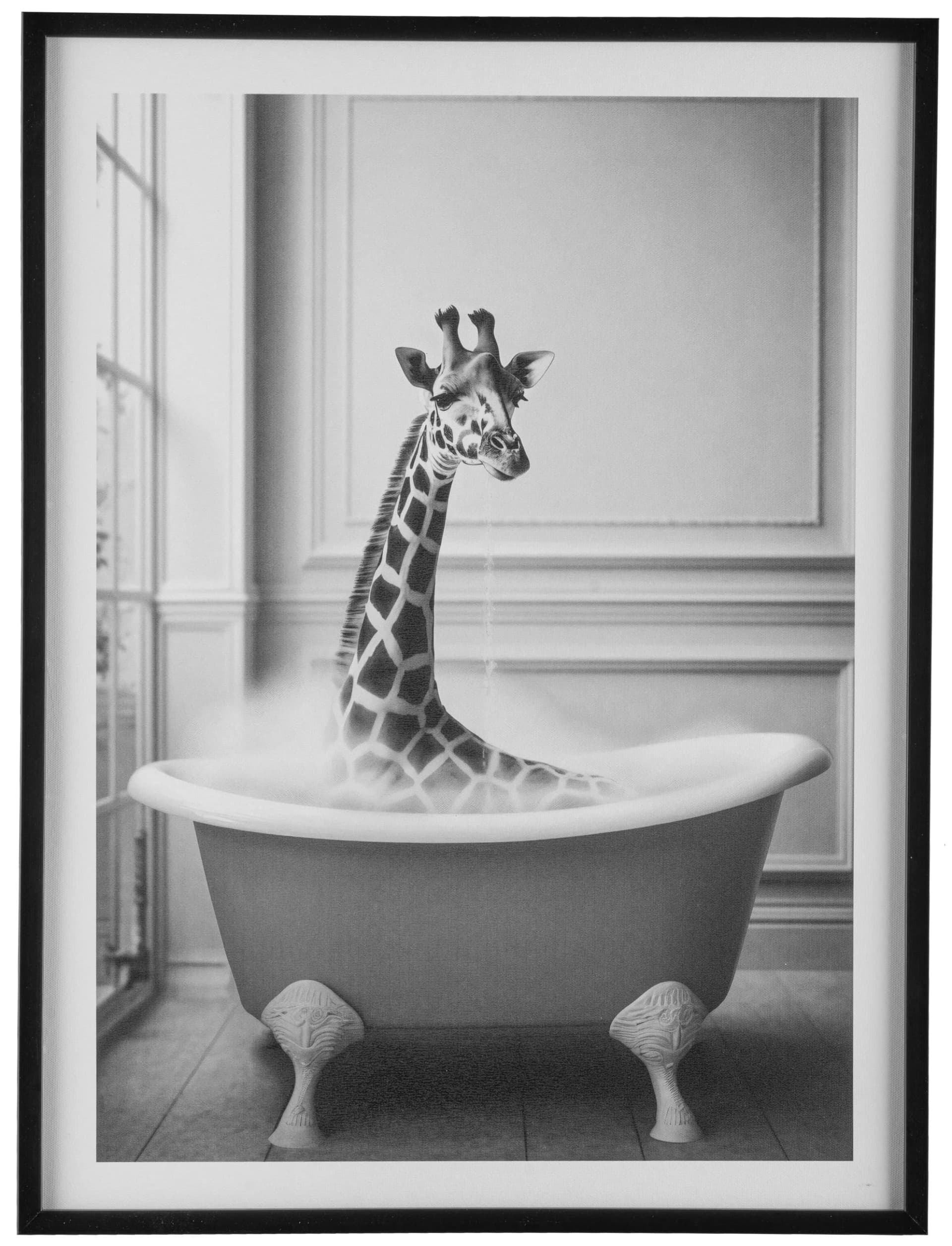 CREATIV HOME Leinwandbild Giraffe in Badewanne Schwarz Rahmen - Bild 4