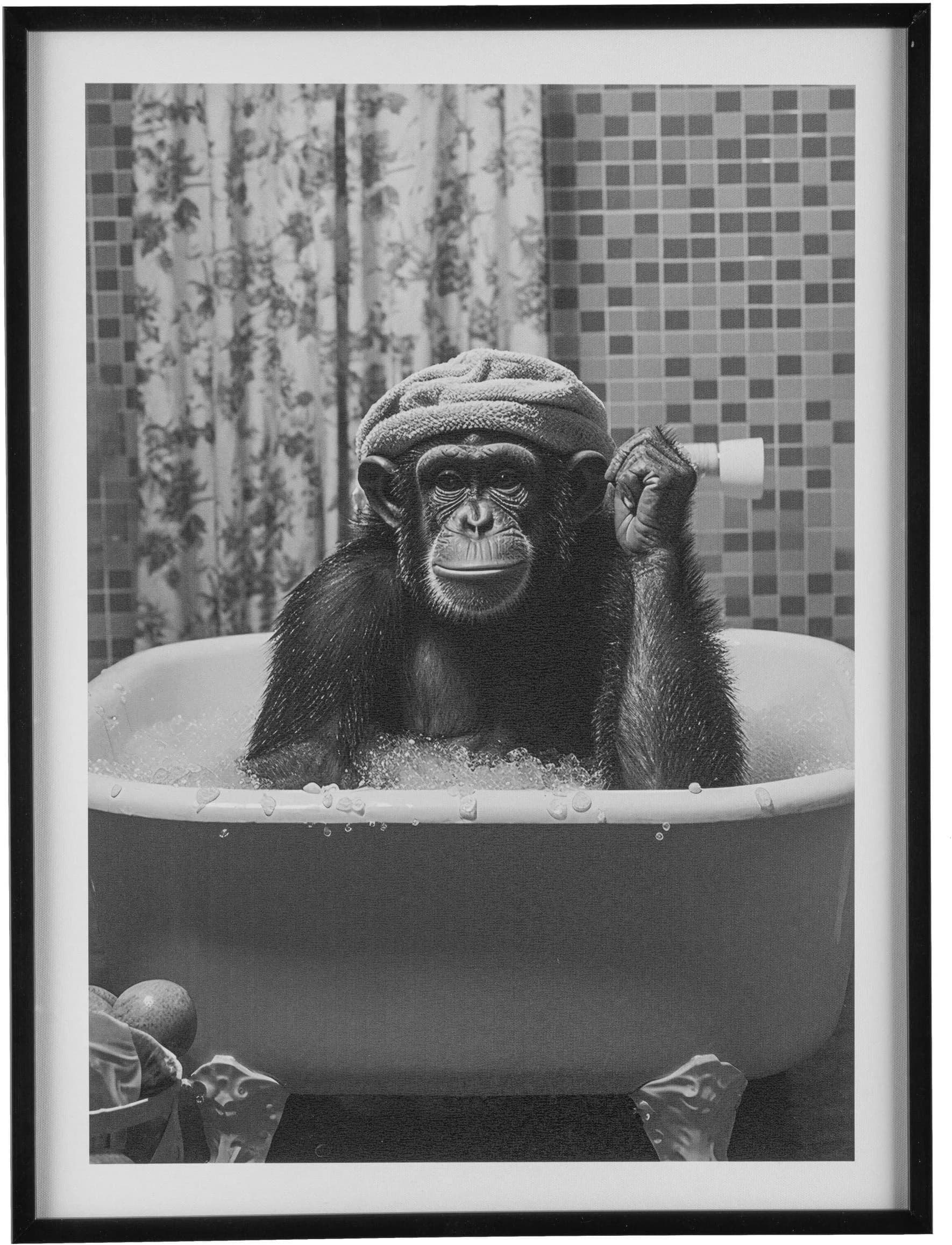 CREATIV HOME Leinwandbild Affe in Badewanne mit schwarzem Rahmen