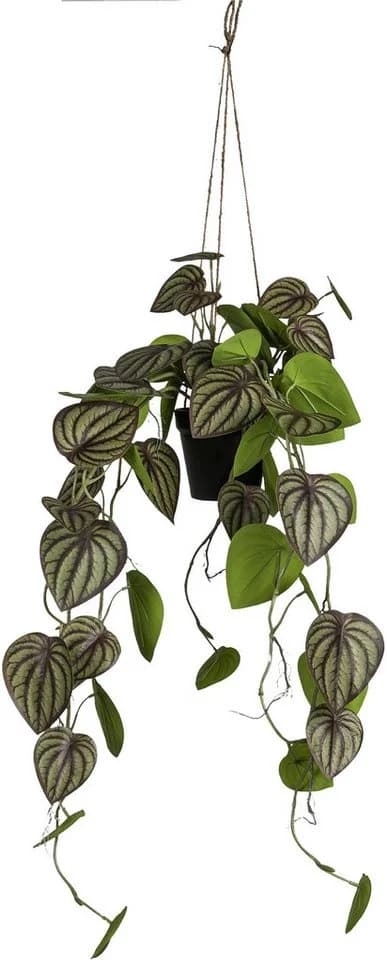 Creativ green Kunstpflanze Zwergpfeffer Grün 85 cm Hängetopf - Bild 2
