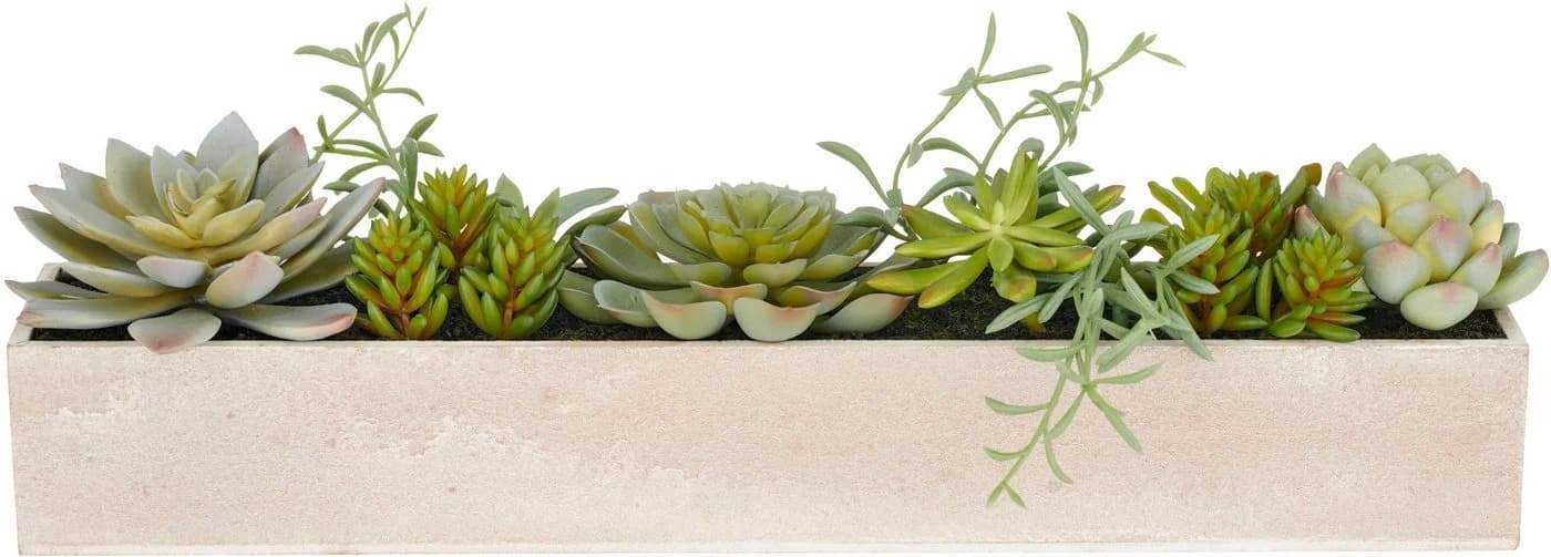 Creativ green Kunstpflanze Sukkulenten Arrangement Modern Holzkasten Grün - Bild 2