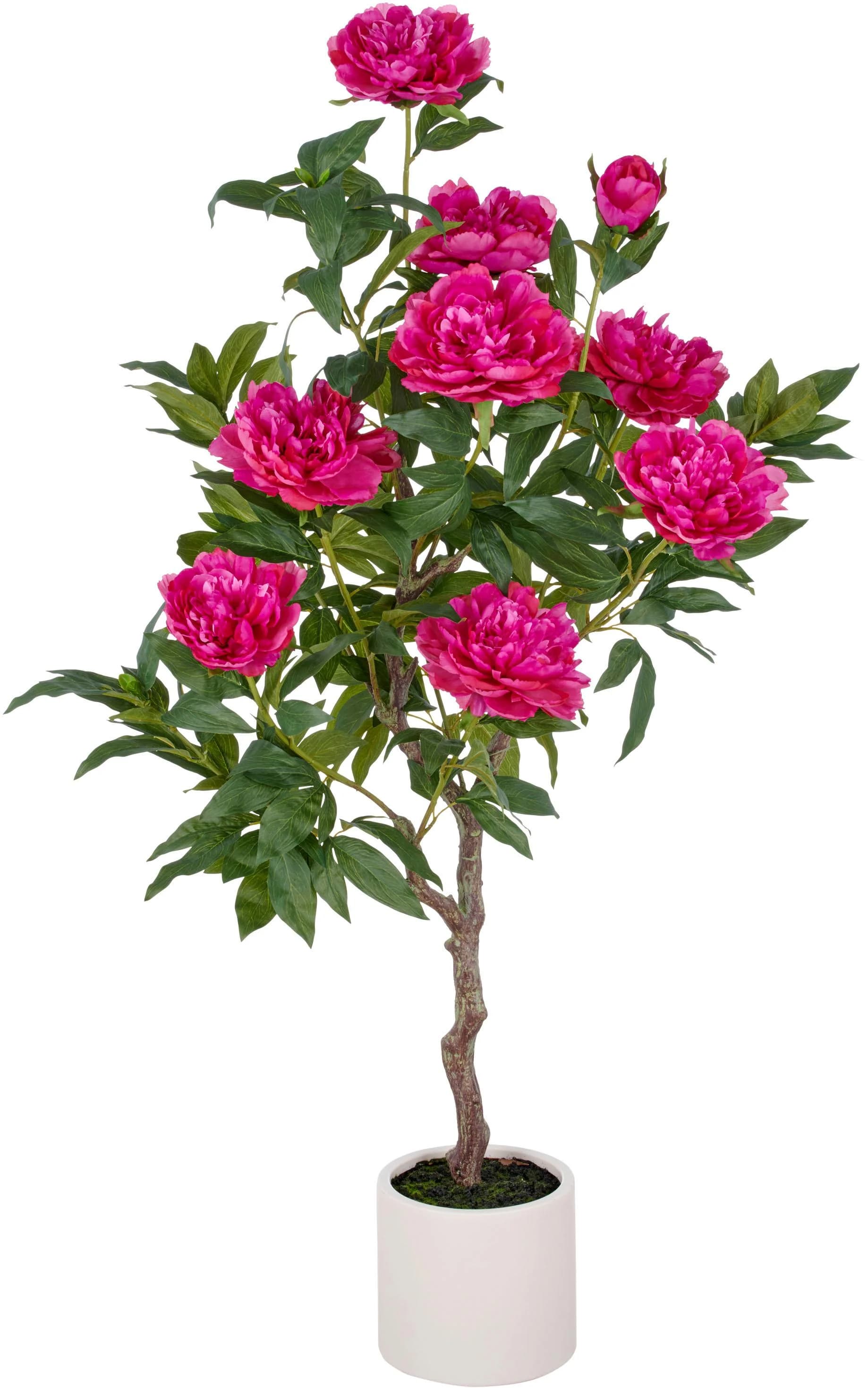 Creativ Green Kunstpflanze Peonie Hochstamm Fuchsia 120cm