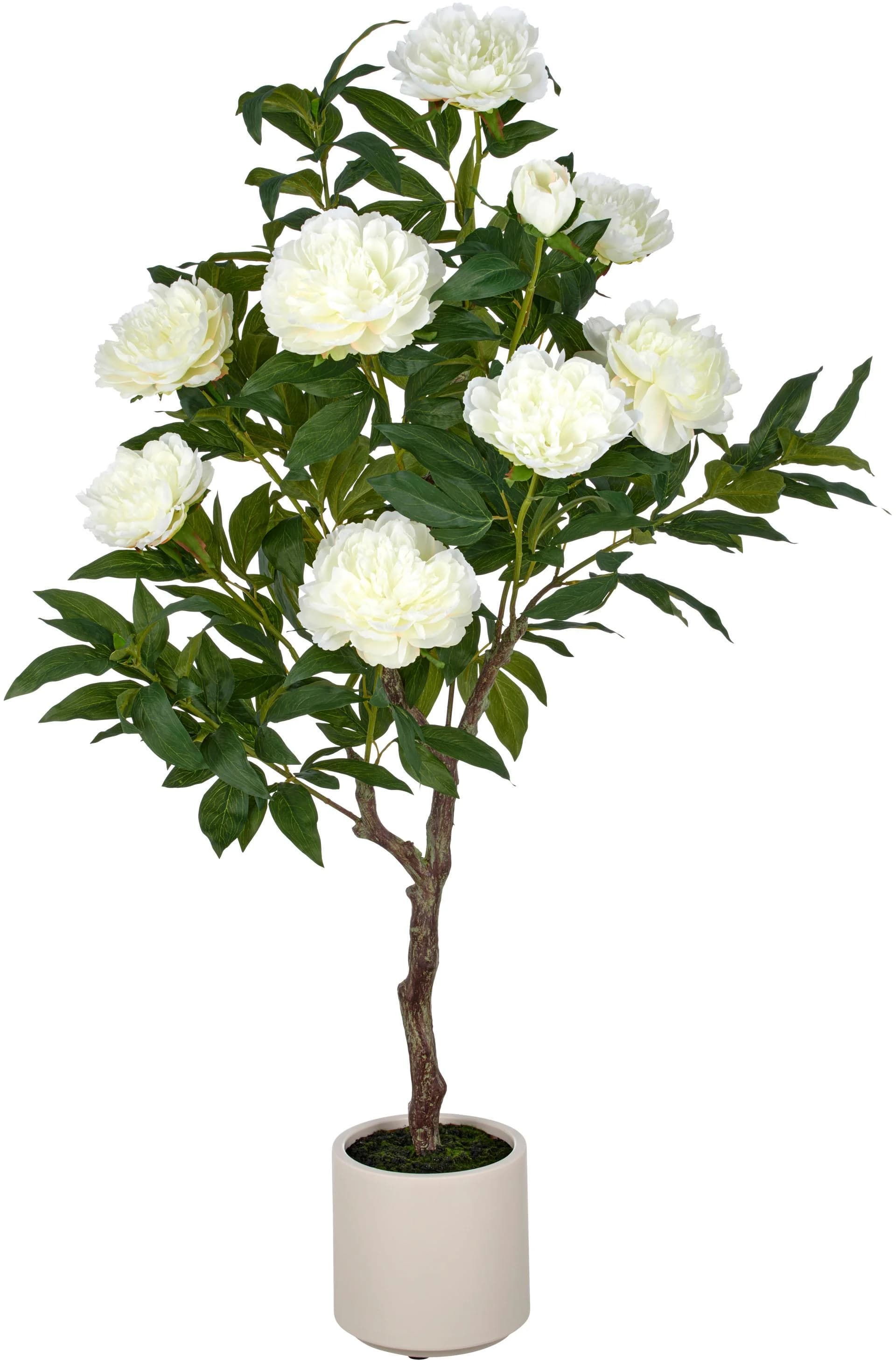 Creativ Green Kunstpflanze Peonie Hochstamm Beige/Creme