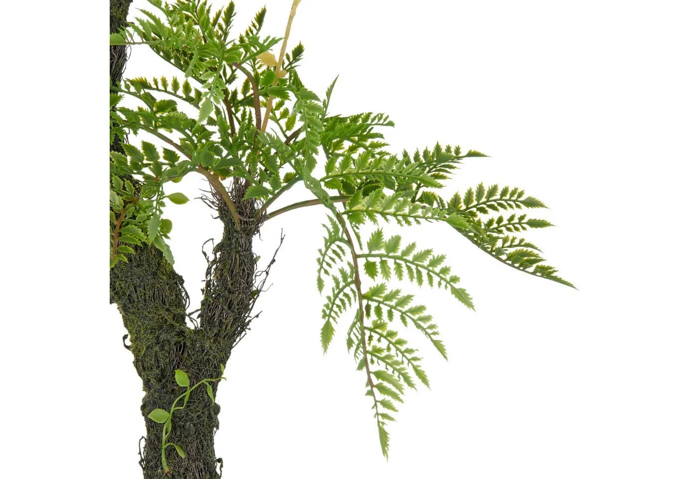 Creativ green Kunstfarn Baumfarn 80 cm auf Moosstamm