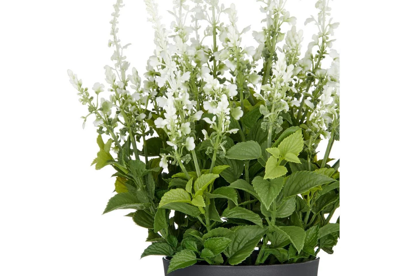 Creativ green Kunstpflanze Salvia superba Grün UV-beständig