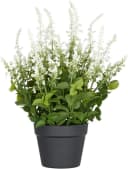 Creativ green Kunstpflanze Salvia superba Grün UV-beständig Bild 2