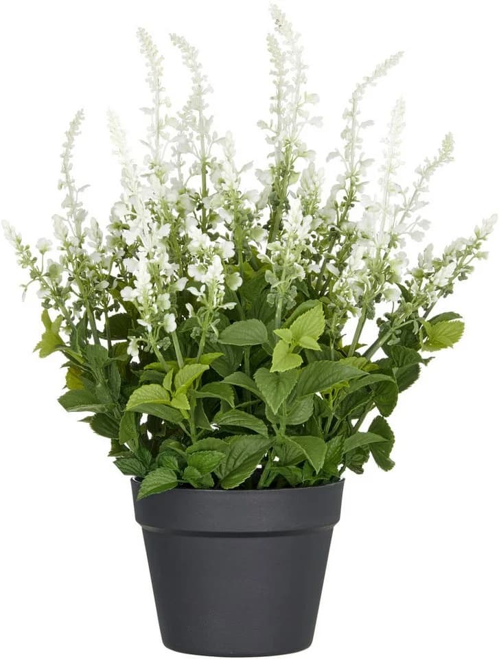 Creativ green Kunstpflanze Salvia superba Grün UV-beständig - Bild 2