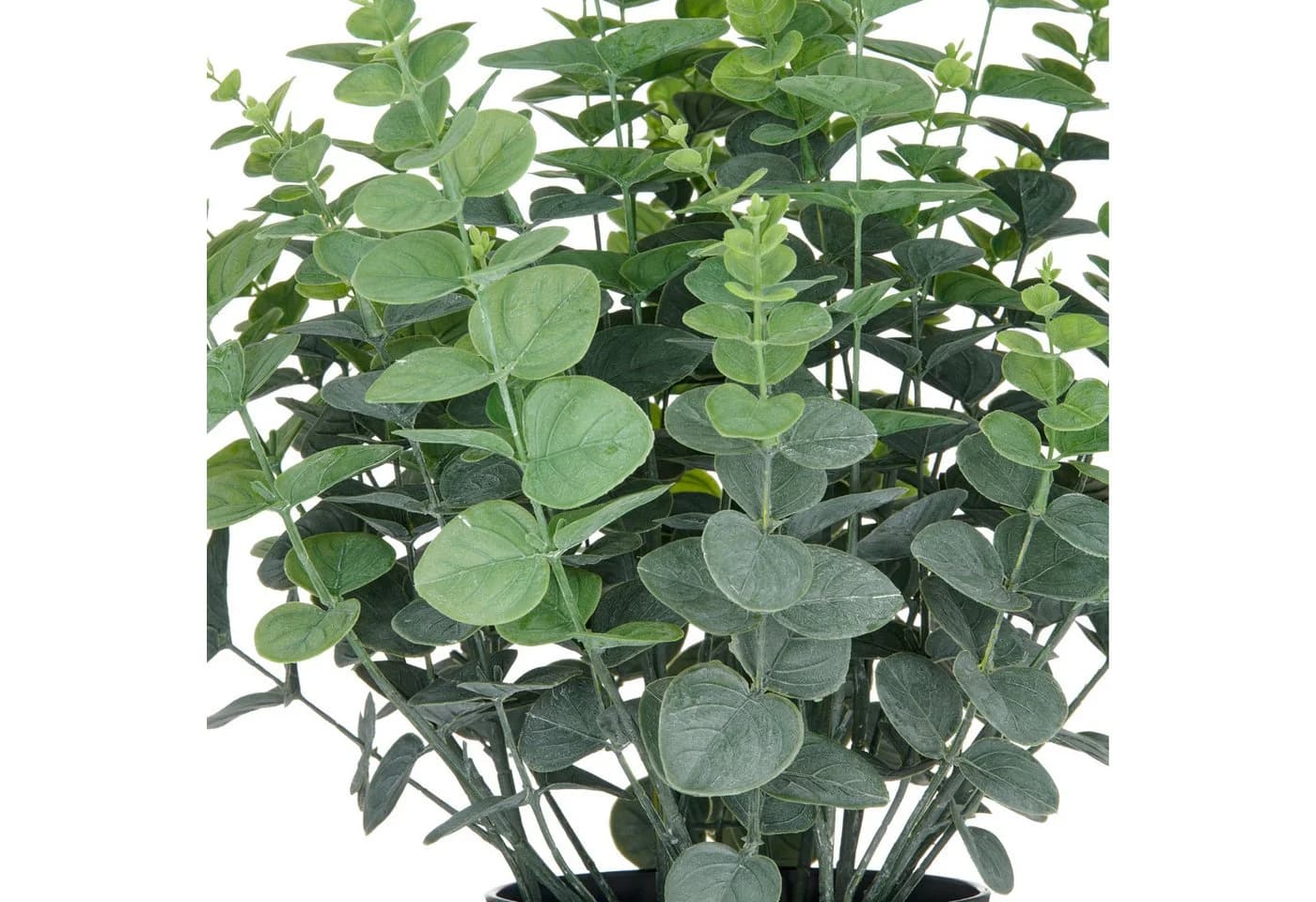 Creativ green Kunstpflanze Eukalyptus gunnii Grün UV-beständig