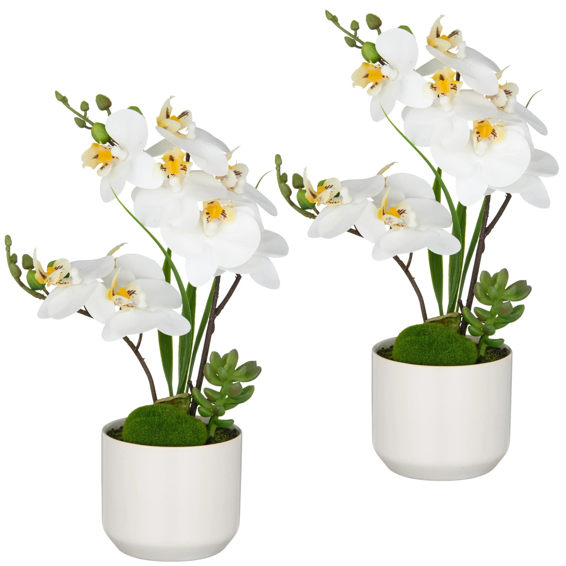 CREATIV GREEN Kunstorchidee Phalaenopsis 2er Set Weiß Keramiktopf