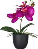 CREATIV GREEN Kunstorchidee Phalaenopsis 3er Set Bunt Bild 1