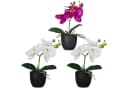 CREATIV GREEN Kunstorchidee Phalaenopsis 3er Set Bunt Bild 2