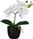 CREATIV GREEN Kunstorchidee Phalaenopsis 3er Set Bunt Bild 3