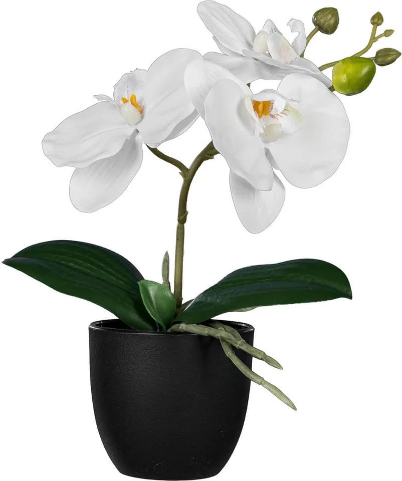 CREATIV GREEN Kunstorchidee Phalaenopsis 3er Set Bunt - Bild 3