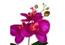 CREATIV GREEN Kunstorchidee Phalaenopsis 3er Set Bunt Bild 4