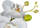 CREATIV GREEN Kunstorchidee Phalaenopsis 3er Set Bunt Bild 5