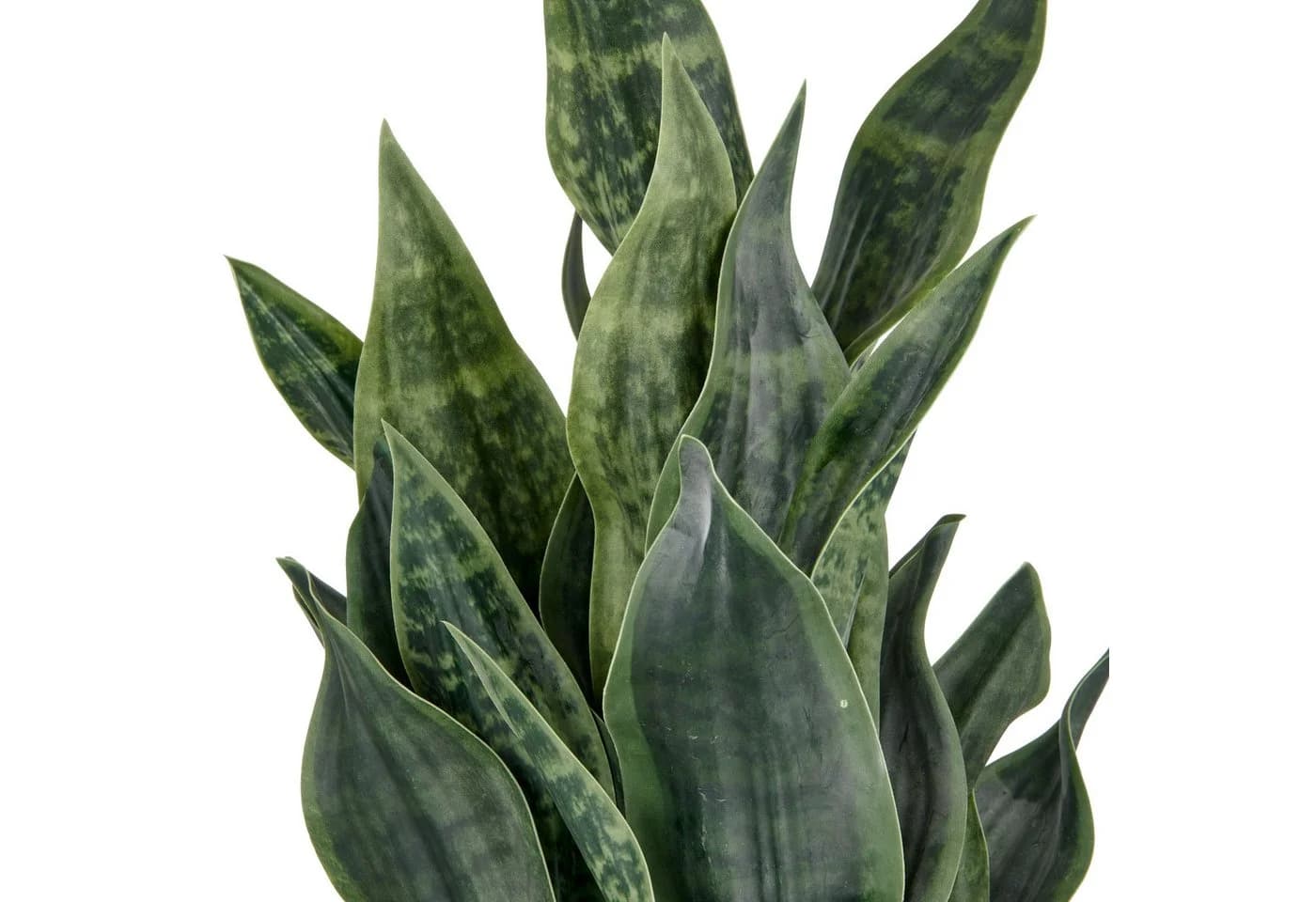 Creativ Green Kunstpflanze Sanseveria Grey Stripe Dunkelgrün