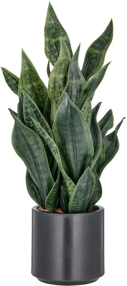Creativ Green Kunstpflanze Sanseveria Grey Stripe Dunkelgrün - Bild 2