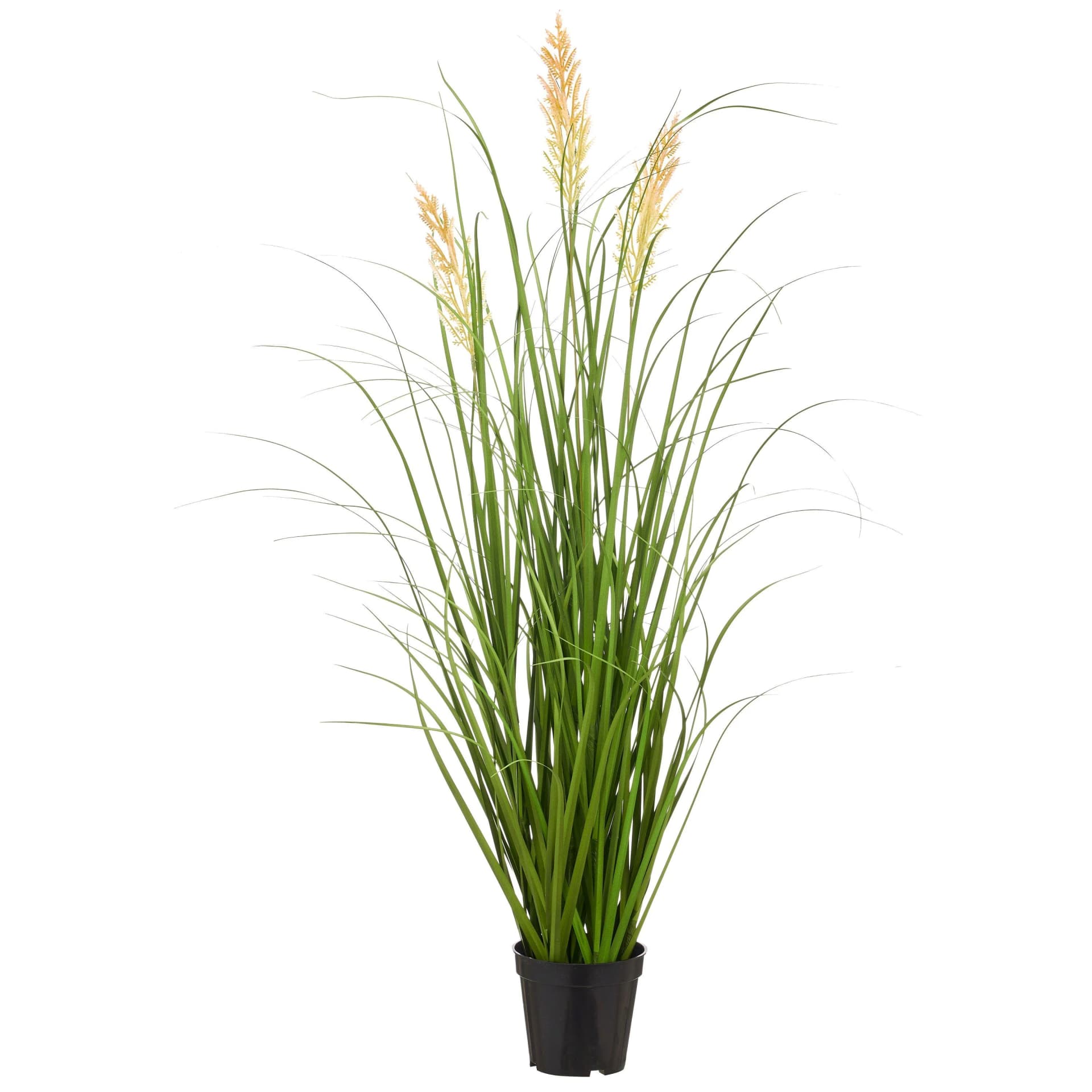 Gasper Grasbusch Federgras Beige Kunststoff mit Topf