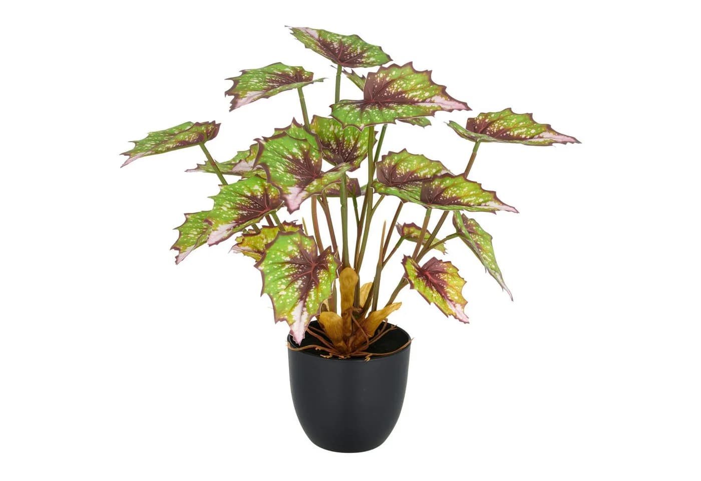 Creativ green Kunstpflanze Begonia rex 2er Set Grün/Bunt