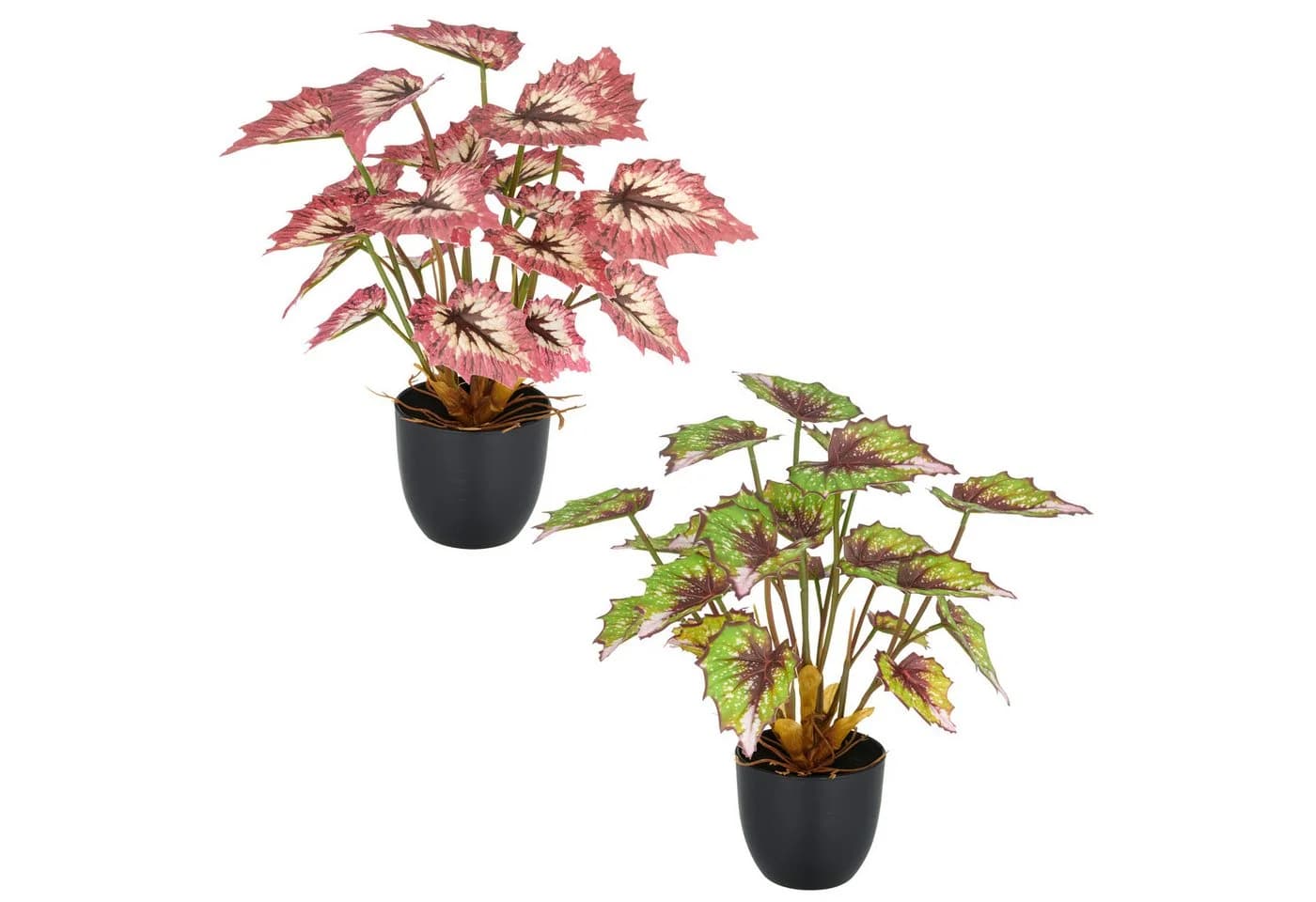 Creativ green Kunstpflanze Begonia rex 2er Set Grün/Bunt - Bild 2