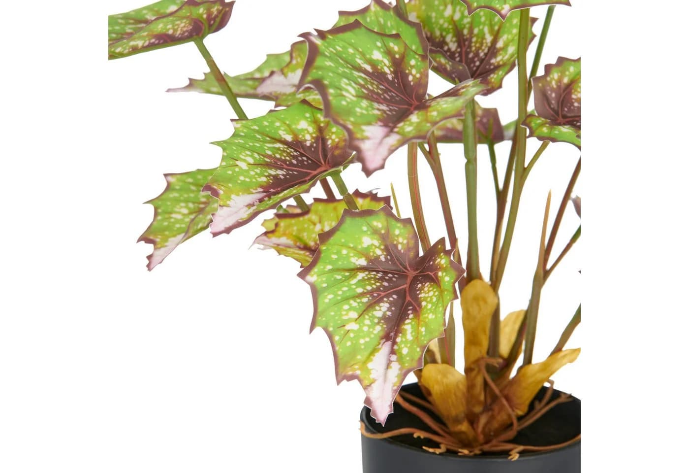 Creativ green Kunstpflanze Begonia rex 2er Set Grün/Bunt - Bild 3