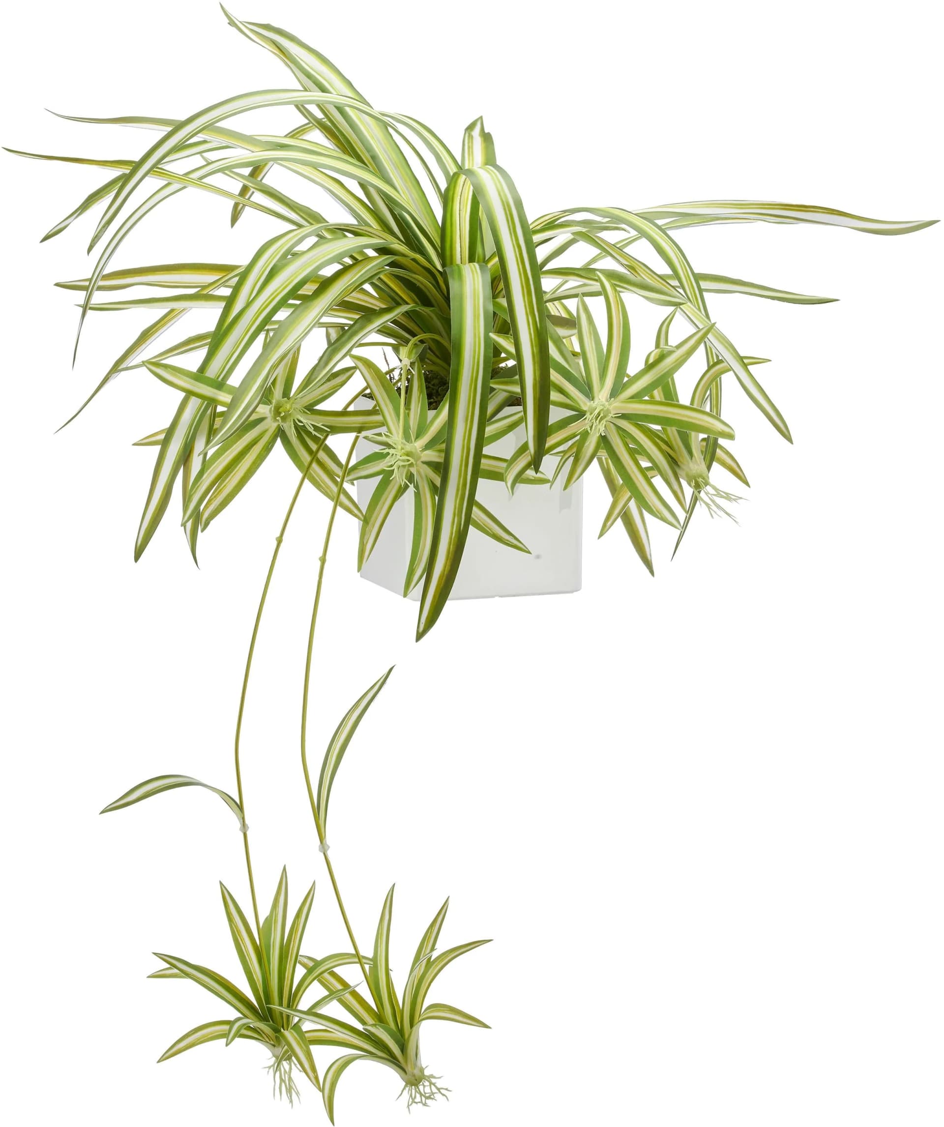CREATIV GREEN Kunstpflanze Grünlilie 90cm Weiß/Grün