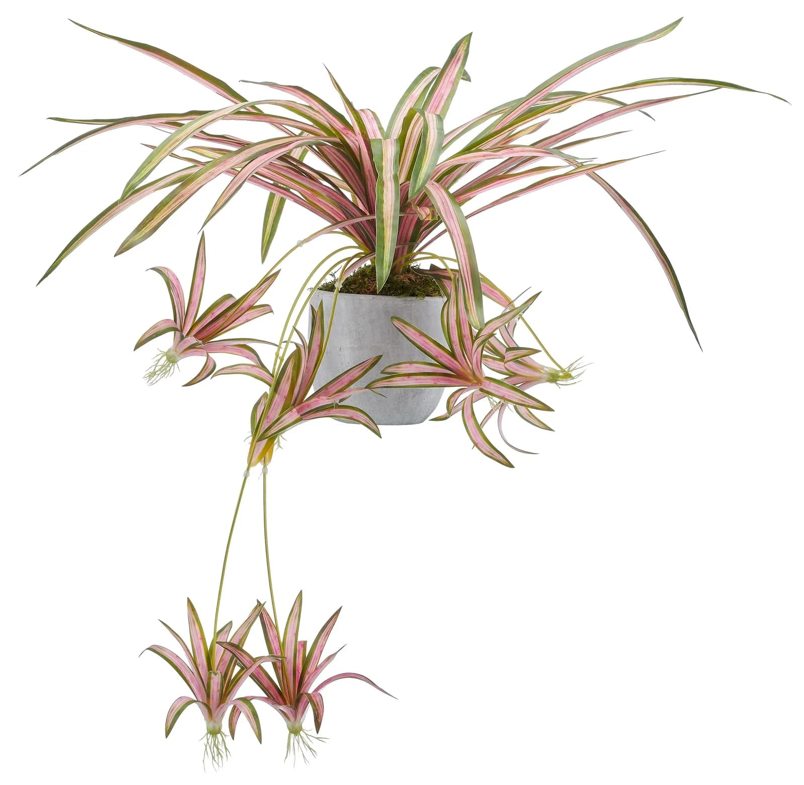 Creativ Green Grünlillie Kunstpflanze Grün-Rosa 90 cm