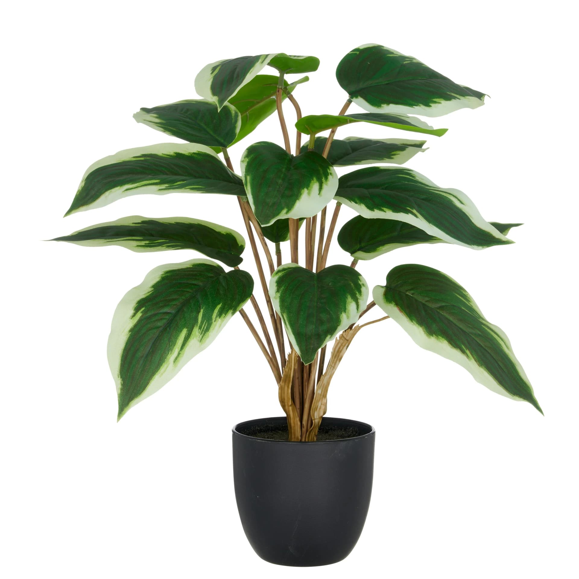 Creativ Green Kunstpflanze Hosta Grün-Weiß