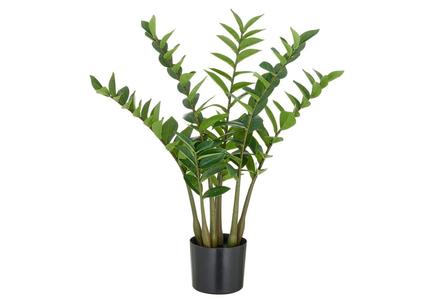 Creativ green Kunstpflanze Zamifolia Grün 70 cm - Bild 2