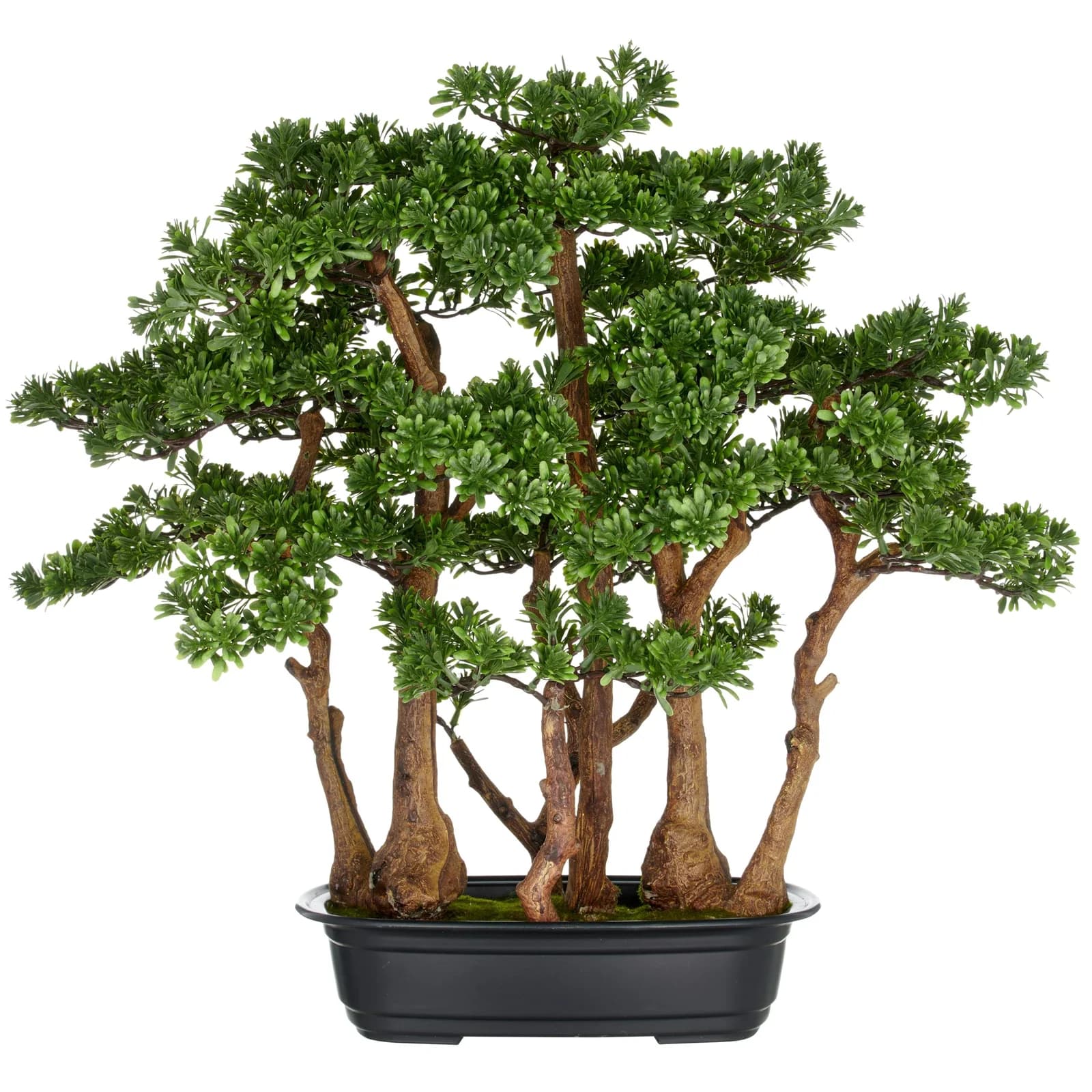 CREATIV GREEN Kunstbonsai Teeblatt Grün 60cm