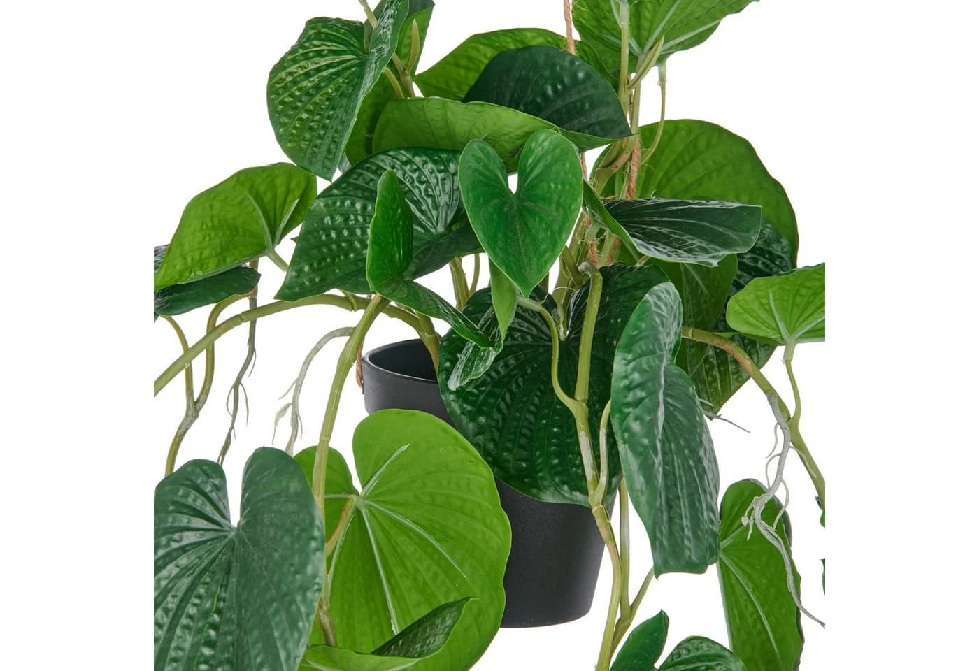 Creativ green Kunstpflanze Hängende Peperomia caperata Grün