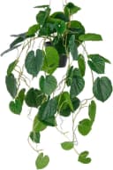 Creativ green Kunstpflanze Hängende Peperomia caperata Grün Bild 2