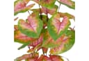 Creativ Green Kunstpflanze Caladium Grün-Rosa 40 cm Bild 1