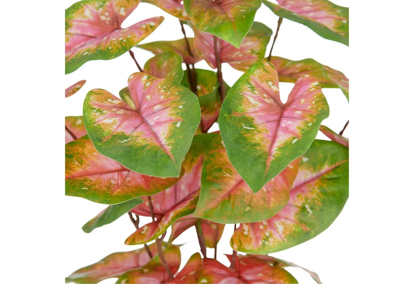 Creativ Green Kunstpflanze Caladium Grün-Rosa 40 cm