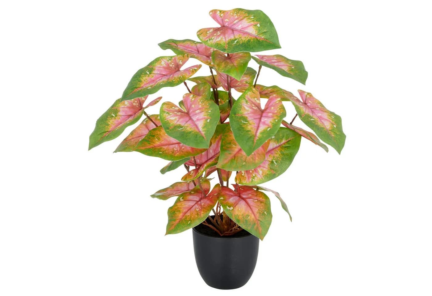 Creativ Green Kunstpflanze Caladium Grün-Rosa 40 cm - Bild 2