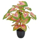 Creativ Green Kunstpflanze Caladium Grün-Rosa 40 cm Bild 3