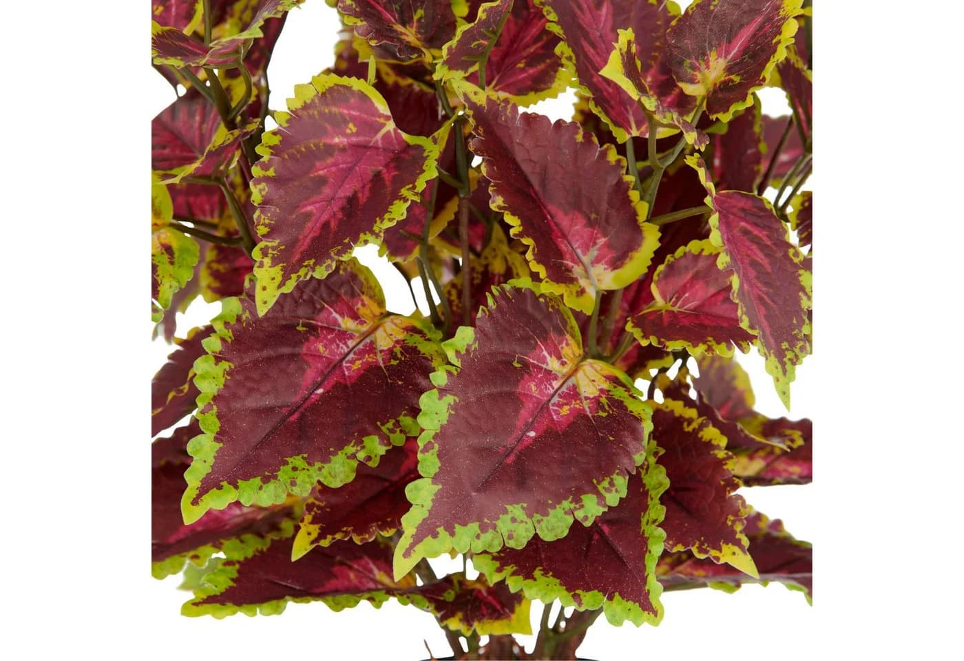 Creativ green Kunstpflanze Coleus Kong red mit Luftwurzeln - Bild 1