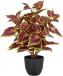 Creativ green Kunstpflanze Coleus Kong red mit Luftwurzeln Bild 2