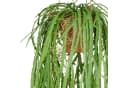 Kunstpflanze Rhipsalis crispata Creativ green Hängend 80 cm Bild 1